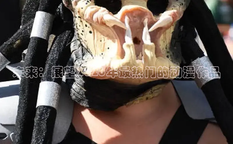 运达娱乐